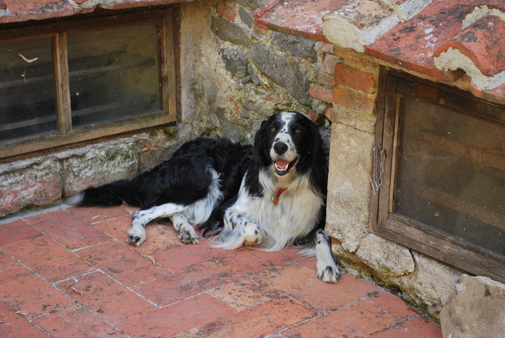 A Casa Del Tosi Villa Lucca Eksteriør bilde