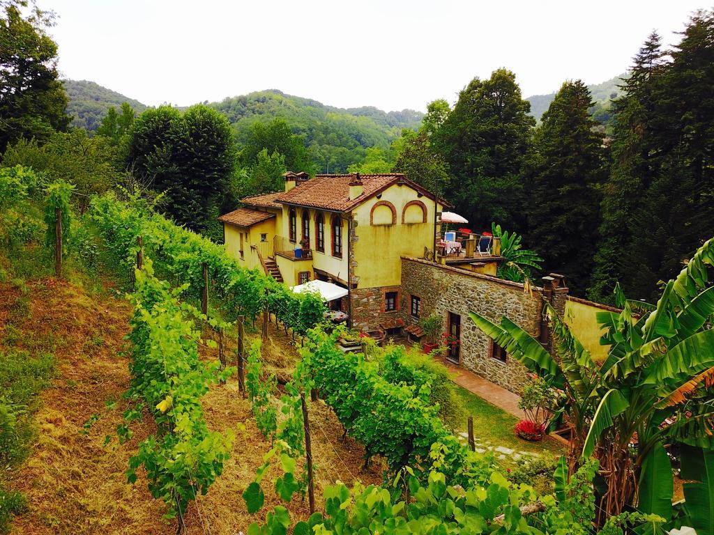 A Casa Del Tosi Villa Lucca Eksteriør bilde