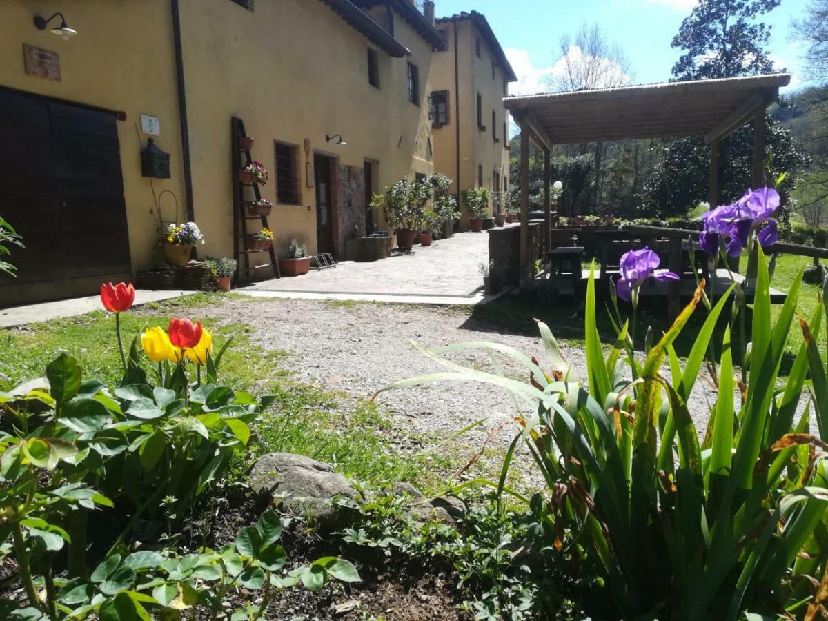 A Casa Del Tosi Villa Lucca Eksteriør bilde
